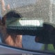 5N1AR1NN5CC626615 2012 Nissan Pathfinder Sv auction photo thumbnail 17