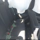 JTDBCMFE3SJ046235 2025 Toyota Corolla Hybrid Le auction photo thumbnail 8