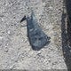 KMHC75LC9JU066421 2018 Hyundai Ioniq Hybrid Sel auction photo thumbnail 12