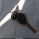 1J4FA59S71P376013 2001 Jeep Wrangler Sahara auction photo thumbnail 11