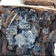1FD0X5HT3DEA73570 2013 Ford F-550 Chassis Lariat auction photo thumbnail 10
