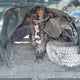 1GCGTDE33G1195466 2016 Chevrolet Colorado Z71 auction photo thumbnail 6