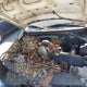 1FTDX18W3VKC53434 1997 Ford F-150 Lariat/Xl/Xlt auction photo thumbnail 6