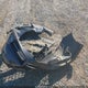 4T1BF1FK8CU095728 2012 Toyota Camry Se auction photo thumbnail 12