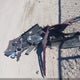 1FADP3N23EL148874 2014 Ford Focus Titanium auction photo thumbnail 12