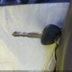 5NPEU46C18H353820 2008 Hyundai Sonata Limited/Se auction photo thumbnail 11