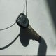 2GCEC13V561256142 2006 Chevrolet Silverado 1500 Ls auction photo thumbnail 11