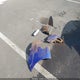 KMHCT4AE5DU538287 2013 Hyundai Accent Gls auction photo thumbnail 12