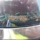 1G4AM47A1CH179021 1982 Buick Regal Limited auction photo thumbnail 9