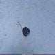 1G4HP52K05U196091 2005 Buick Lesabre Custom auction photo thumbnail 11