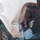 1GCWGAFP0J1302710 2018 Chevrolet Express 2500 Work Van auction photo thumbnail 18