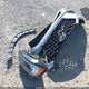 KM8J23A46LU102316 2020 Hyundai Tucson Se auction photo thumbnail 12