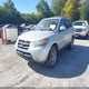 5NMSH13EX7H006767 2007 Hyundai Santa Fe Limited/Se auction photo thumbnail 2