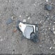 1FMCU0DG8CKC62474 2012 Ford Escape Xlt auction photo thumbnail 12