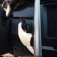 2FMDK4KC0CBA37526 2012 Ford Edge Limited auction photo thumbnail 11