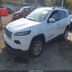 1C4PJLLBXJD537947 2018 Jeep Cherokee Latitude Plus Fwd auction photo thumbnail 2