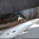 5XXG64J28MG062416 2021 Kia K5 Gt-Line auction photo thumbnail 18