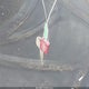 4S3BH675047620897 2004 Subaru Outback auction photo thumbnail 11