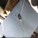 3N1CB51D41L462025 2001 Nissan Sentra Gxe auction photo thumbnail 11