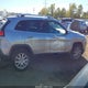1C4PJMDB0HW599120 2017 Jeep Cherokee Limited auction photo thumbnail 13