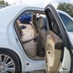 2C3CCAEG5EH220130 2014 Chrysler 300C auction photo thumbnail 8