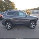 1C4PJMDX5LD520587 2020 Jeep Cherokee Limited 4X4 auction photo thumbnail 14