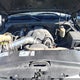 1GYEK63NX2R225996 2002 Cadillac Escalade Standard auction photo thumbnail 10
