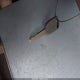 1HGCP2F37CA067989 2012 Honda Accord 2.4 Lx auction photo thumbnail 11