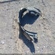 5J6RM4H71EL087198 2014 Honda Cr-V Ex-L auction photo thumbnail 12