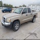 1D7HW48NX5S260884 2005 Dodge Dakota Quad Slt auction photo thumbnail 2