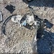 5N1AT2MT0LC769267 2020 Nissan Rogue Sl Fwd auction photo thumbnail 12