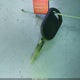 1FTKR1EE6BPA81640 2011 Ford Ranger Sport auction photo thumbnail 11