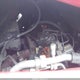 5J6YH28675L029396 2005 Honda Element Ex auction photo thumbnail 10