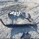 5TDFARAH0PS022104 2023 Toyota Highlander Hybrid Platinum auction photo thumbnail 12
