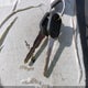 1G3NL52M3WM318058 1998 Oldsmobile Achieva Sl auction photo thumbnail 11