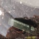 3FA6P0H72FR197730 2015 Ford Fusion Se auction photo thumbnail 9