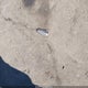 5NPDH4AE8GH695143 2016 Hyundai Elantra Se auction photo thumbnail 11