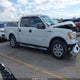 1FTFW1CT2DKE60727 2013 Ford F-150 Xlt auction photo thumbnail 12