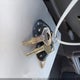JT4VN93D7L5008209 1990 Toyota Pickup 1/2 Ton Ex Lng Whlbse Dlx auction photo thumbnail 11