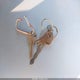 JALE5W160K7901388 2019 Isuzu Nqr auction photo thumbnail 11