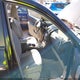 JN8AS5MT8CW265531 2012 Nissan Rogue Sv W/Sl Pkg auction photo thumbnail 5