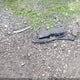 1VWBT7A35HC004182 2017 Volkswagen Passat 1.8T Se auction photo thumbnail 12