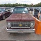 CCL146F330233 1976 Chevrolet C10 auction photo thumbnail 12