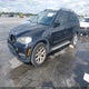 5UXZV4C56BL400393 2011 BMW X5 xDrive35I/xDrive35I Premium/xDrive35I Sport Activity auction photo thumbnail 2