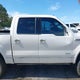 1FTFW1ET9DFB15846 2013 Ford F-150 Platinum auction photo thumbnail 13