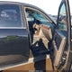 1FAHP28W68G113334 2008 Ford Taurus Limited auction photo thumbnail 5