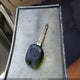 5TELU42N98Z497613 2008 Toyota Tacoma Base V6 auction photo thumbnail 11