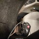1FADP3F23GL276971 2016 Ford Focus Se auction photo thumbnail 11