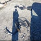 1C4PJMDX2KD284219 2019 Jeep Cherokee Limited 4X4 auction photo thumbnail 12