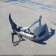 JNKCV61E49M015021 2009 Infiniti G37 Journey auction photo thumbnail 11